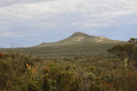 Fitzgerald River Nat. Park